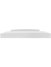 Smart Ceiling Light D30 BHR9934GL (9290041706)