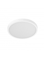 Smart Ceiling Light D40 BHR9933GL (9290041705)