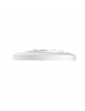 Smart Ceiling Light D40 BHR9933GL (9290041705)