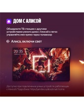 ТВ Станция Бейсик с Алисой QLED 65'' (YNDX-00081) ТВ Станция Бейсик с Алисой QLED 65'' (YNDX-00081)