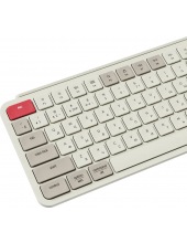 B6 Pro B6P-K13-RU (����� �������)