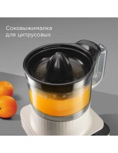 FP608 (�������)