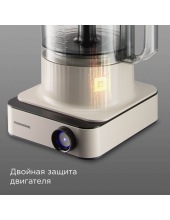 FP608 (�������)