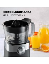 RFP-3909 (������)