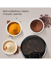 CG804 (�����/������)