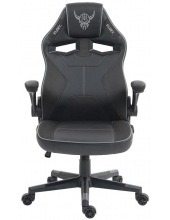 Asgard (������)