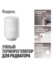 ��� ��������� YNDX-00518 (�����)