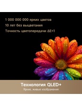 Vivid QLED 4K 43Q100