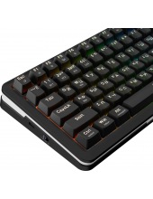 Flekact Pro RU RGB 72535 (������)
