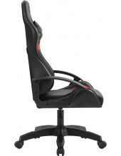 Sharm 64674, (������/����)