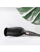 IoniCare 5450 Power&Go Pro Fire 4209