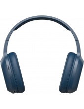 H2590BT Pro (�����)