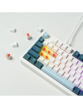 ZA98 White Navy Blue (TNT Red)