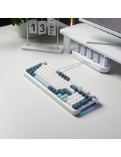 ZA98 White Navy Blue (TNT Red)