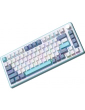 ZA82 White Navy Blue (OUTEMU Orange)