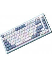 ZA82 White Navy Blue (OUTEMU Orange)