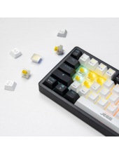 ZA61 White Black Brown (TNT Yellow)