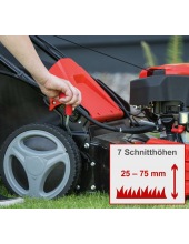 MS200-51E (59112689969)