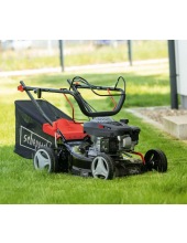 MS132-42 (5911249903)