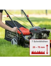 MS132-42 (5911249903)