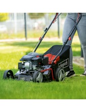 MS132-42 (5911249903)