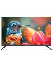 ��������� VIVARIS 32 One ST