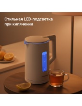 KG255 (�����)