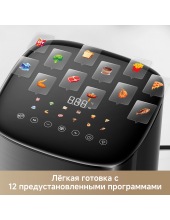 Air Fryer FD10s Pro (������)