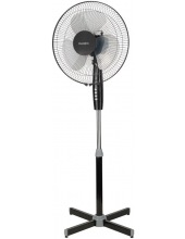 ���������� RAGEX R1205 000 (������)