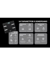 PWS 1898 IQ Home (������)