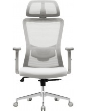 Ember Flow 1 (�����)