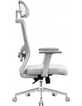 Ember Flow 1 (�����)