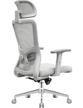 Ember Flow 1 (�����)