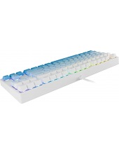 Cass RU RGB 71485 (�����/�����)