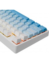 Cass RU RGB 71485 (�����/�����)