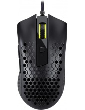 Storm Basic 71122 (������)