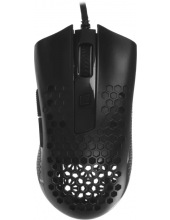 Storm Basic 71122 (������)