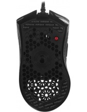 Storm Basic 71122 (������)