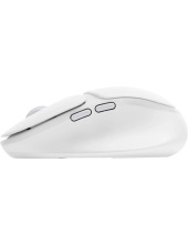 G705 910-006371 (�����)