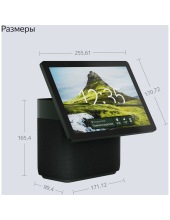 ������ ������� ��� ���� YNDX-00055GRN (�������)