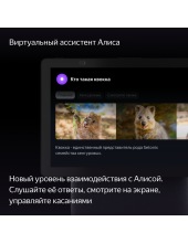 ������ ������� ��� ���� YNDX-00055GRN (�������)