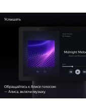 ������ ������� ��� ���� YNDX-00055GRN (�������)