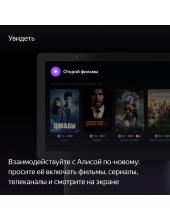 ������ ������� ��� ���� YNDX-00055GRN (�������)