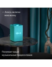 ������ ������� ���� � Zigbee YNDX-00053TRQ (���������)