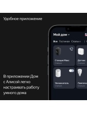 ������ ������� ���� � Zigbee YNDX-00053TRQ (���������)