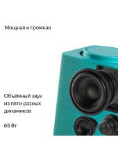 ������ ������� ���� � Zigbee YNDX-00053TRQ (���������)