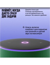 ������ ������� ���� 3 ��� YNDX-00059GRN (�������)