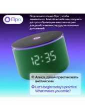 ������ ������� ���� 3 ��� YNDX-00059GRN (�������)