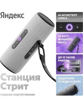 ������ ������� ����� YNDX-00030GRY (�����)