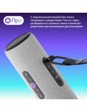 ������ ������� ����� YNDX-00030GRY (�����)